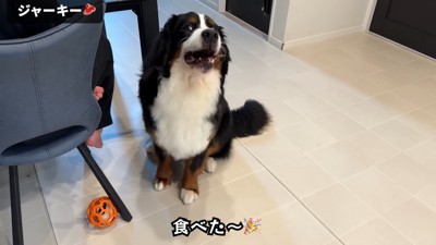 やっと食べ始めました♪