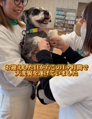 撫でられて嬉しそうな犬