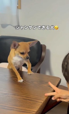 男の子の勝ち！