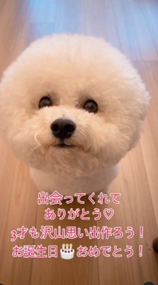 お誕生日おめでとう!