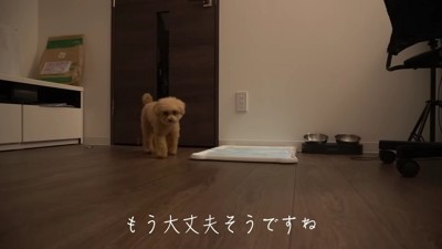 頼もしい姿にキュン