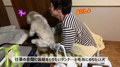 強制的に自分の寝床へ移動
