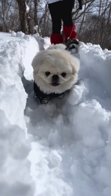 とっても楽しそう♪