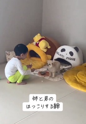 向かい合う男の子とうにちゃん