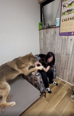 お姉ちゃんが大好きなつなくん