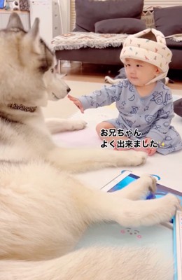 セナくんを褒める赤ちゃん