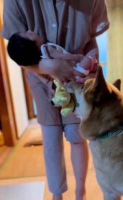 おもちゃ貸してあげる!