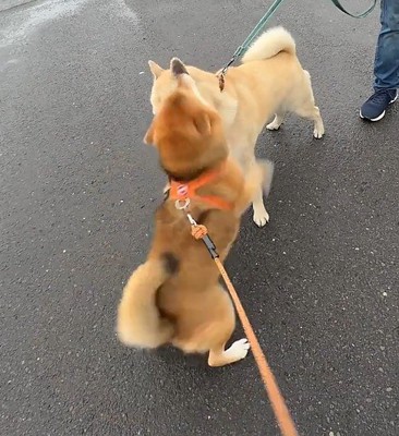 思わずハグ2回目!!