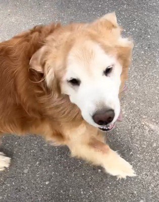 満面の笑みでお出迎え