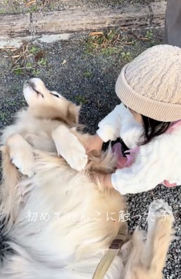 優しいナデナデ