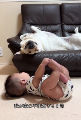 赤ちゃんが見つめても…