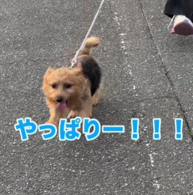 「やっぱり～！！」