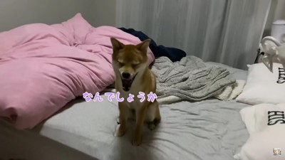 「なんでしょうか」