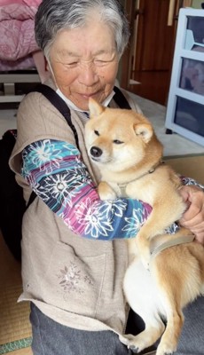 犬を抱っこする人