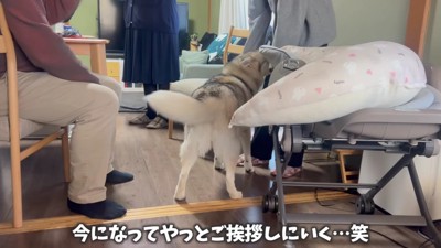 落ち着いたらご挨拶