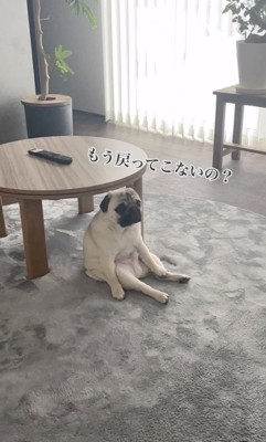 戻ってこないの？