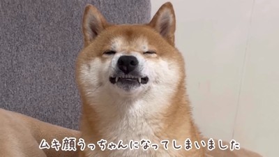 ムキ顔になってしまった…