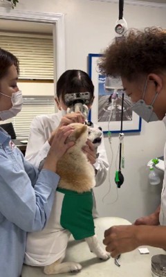 「もうがまんできないよ!」