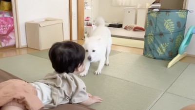 真ん前でピタッ