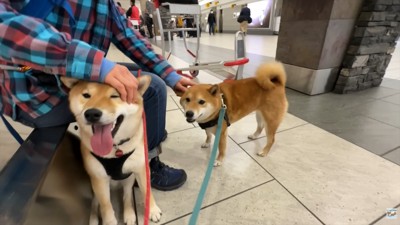 ナラちゃん&ソラくんとママの再会6