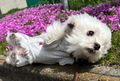 ビックリ顔が可愛い