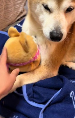 「ちょ、やめろや…」