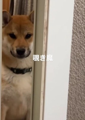 「まだ出てこないの?」