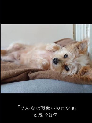 ネオくんが幸せを掴むまで8