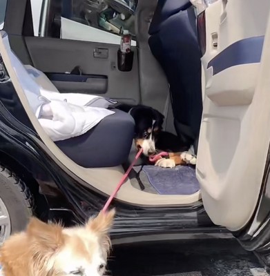 「マリンちゃんも行かないでね」の顔