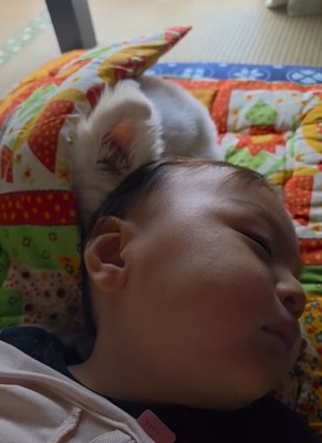 寄り添って眠る小型犬と赤ちゃん
