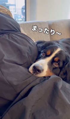 まったりタイム