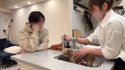 見守る飼い主さん