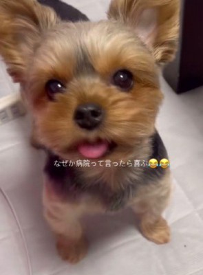 これからも元気でね！！