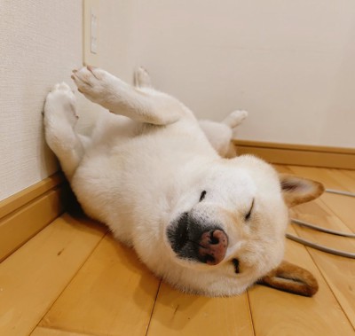 ぐっすり