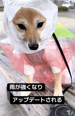 何かを…悟ってる？