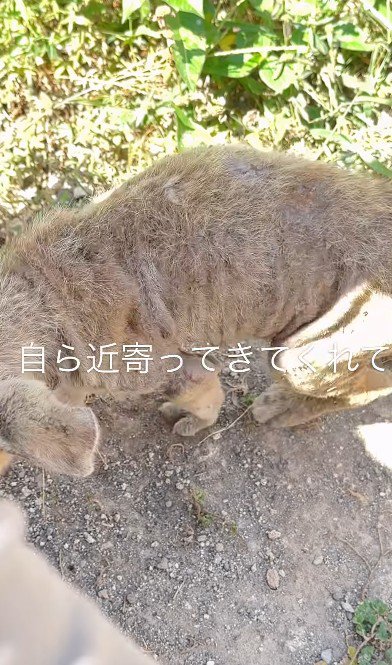 自分から近づいて…