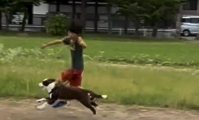 お散歩も全力です♪