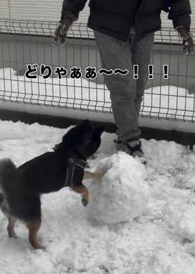 職人のような千幸ちゃん