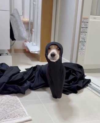 顔が出てきた!