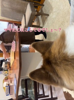 パンを作るママ1