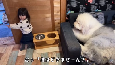 扉を開けるろのちゃん