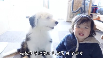 赤ちゃんのそばにやってきた子犬