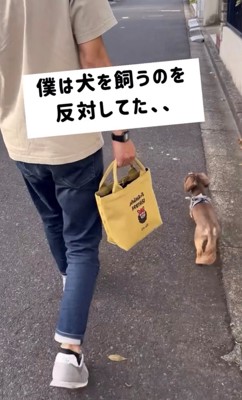 飼い主と歩く犬