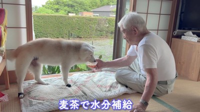愛情あふれる光景にホッコリ