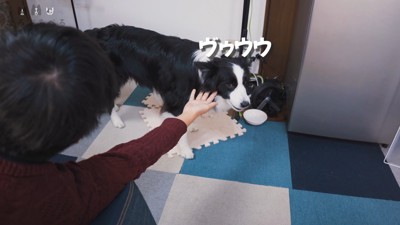 「ゲームを優先したくせに!もう知らないっ」