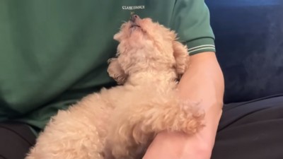 甘えている小殿くん