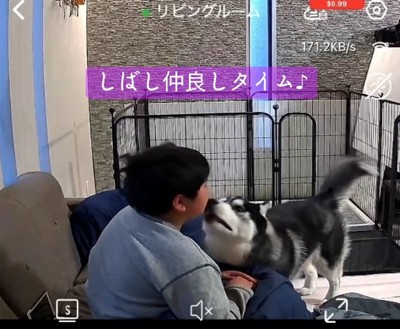 顔を舐める息子さん