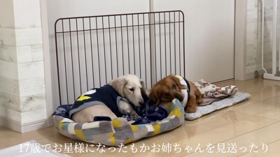 たくさんの仲間が出来た