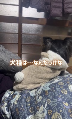 シンキングタイム…