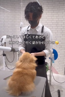 犬と戯れるトリマーの男性